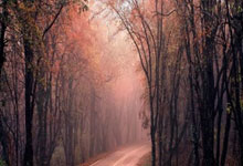 罗马主场胜利，积分榜再度领跑