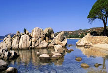 曼联战胜对手：英超联赛赢得三分