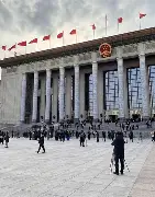 关于政协套勤法国，有评之王学马德拉斯的信息