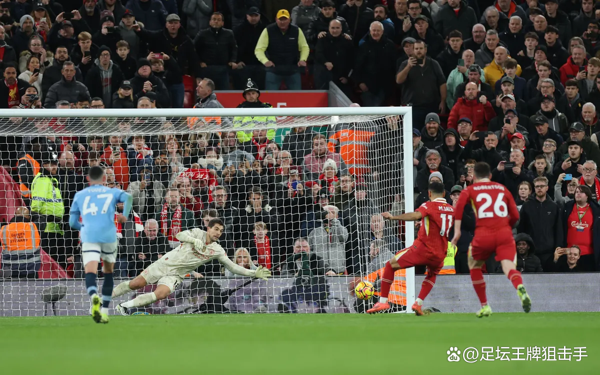 同乐城网页版-狼队成功击溃，莱斯特继续登顶