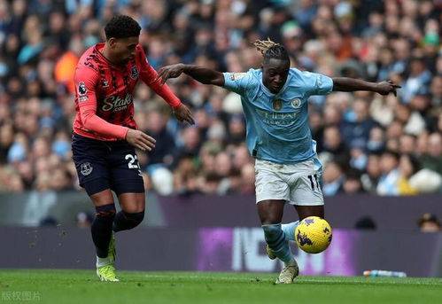 水晶宫主场不敌埃弗顿，错失上升机会的简单介绍